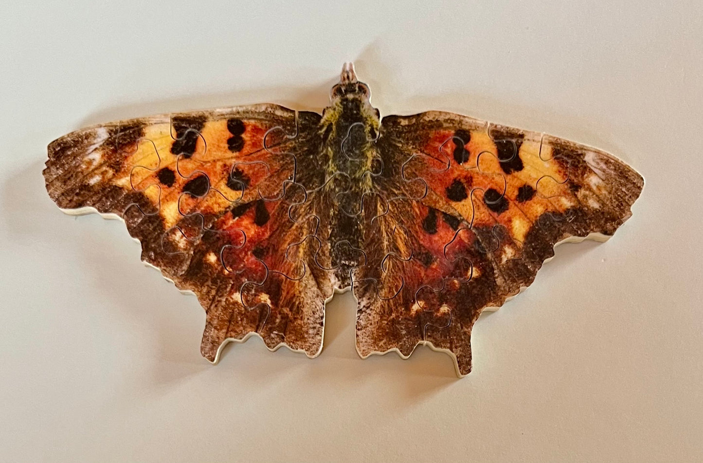 Mini Moth
