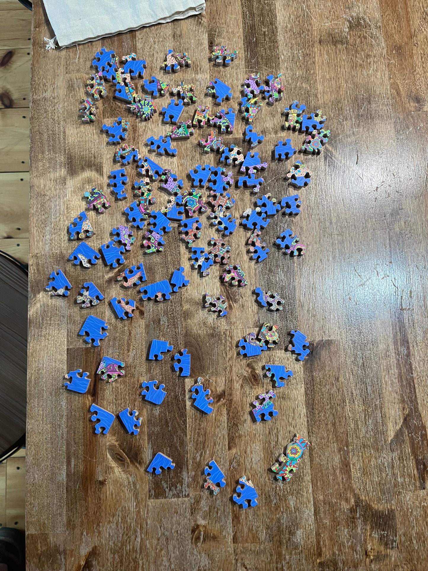 Colorful Sea Turtles