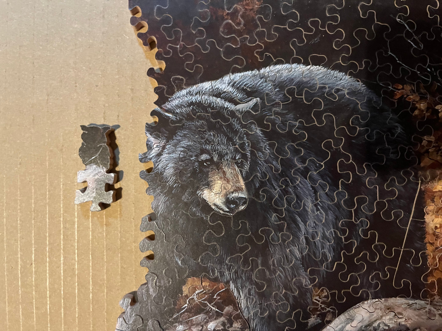 Bear in the brook