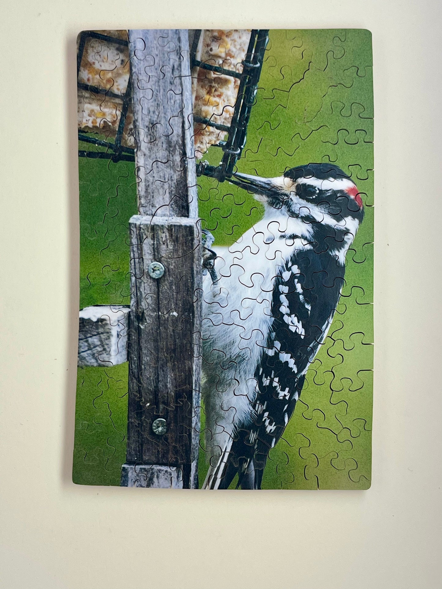 Vermont Woodpecker - Green Background