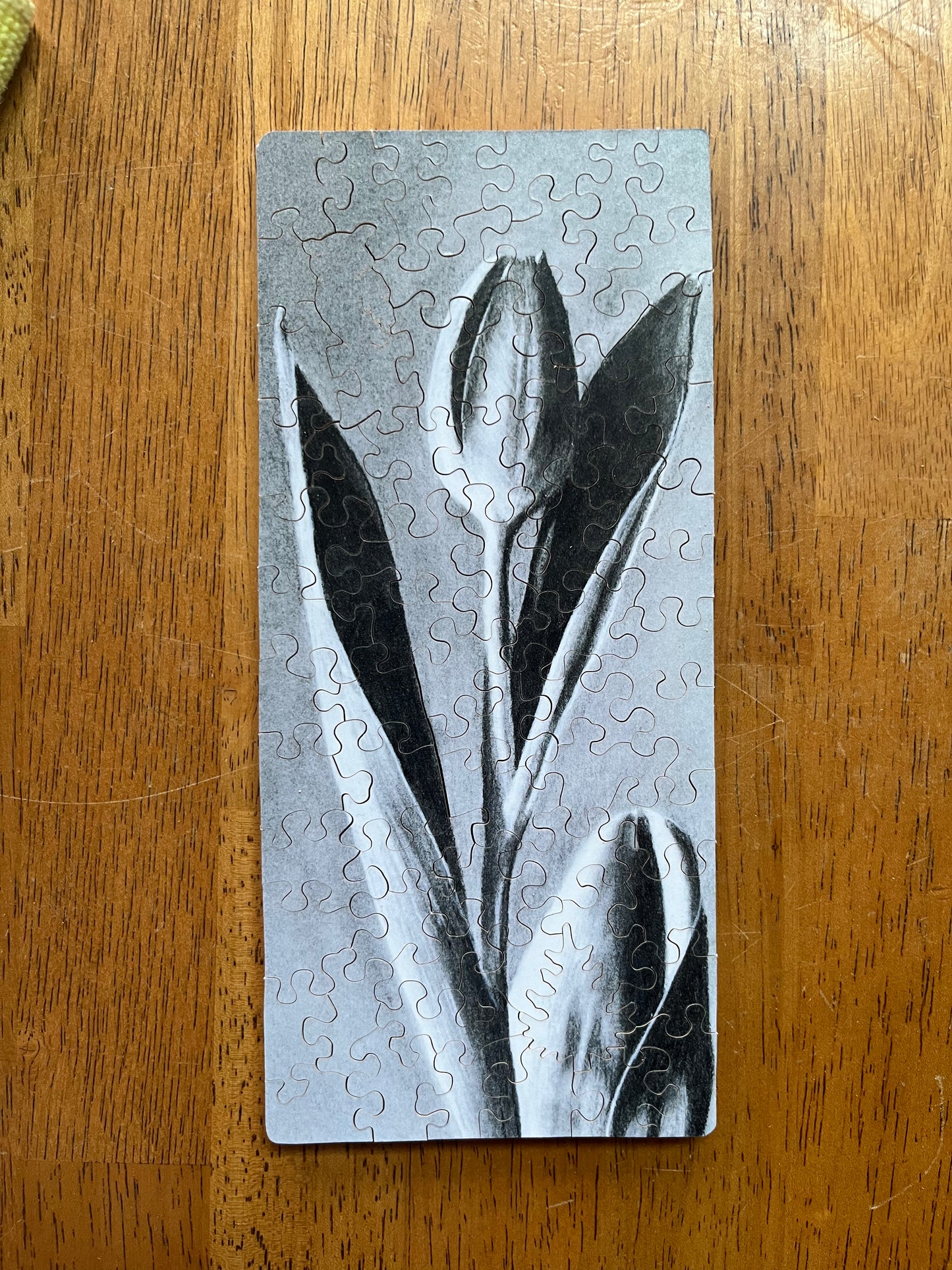 Charcoal Tulip Puzzle