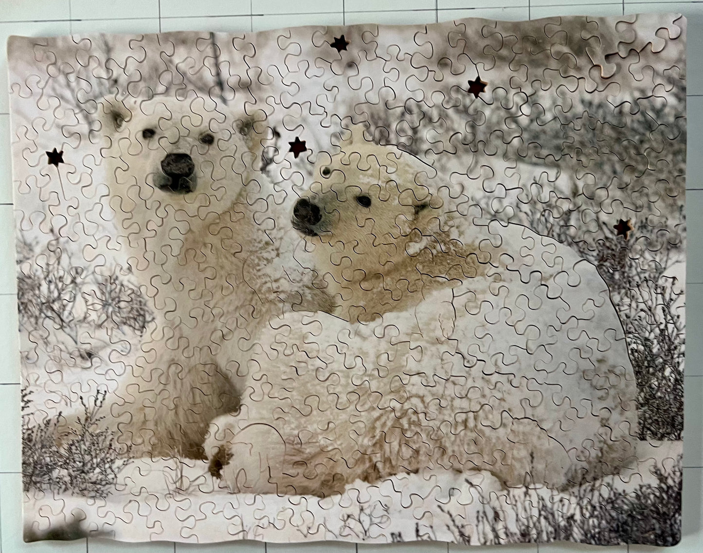 Snowy Polar Bears
