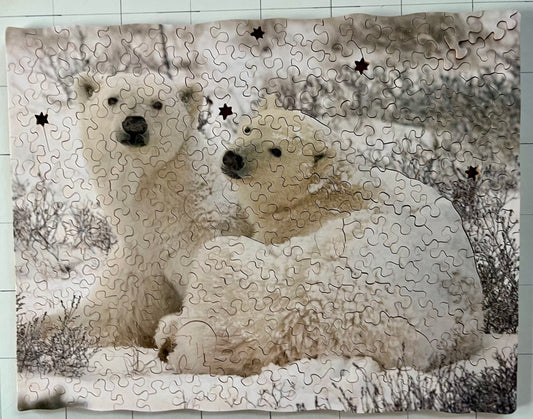 Snowy Polar Bears