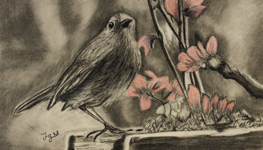 Spring Bird