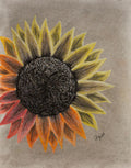 Rent: Colored Charcoal Sunflower - 50 Piece Wooden Puzzle
