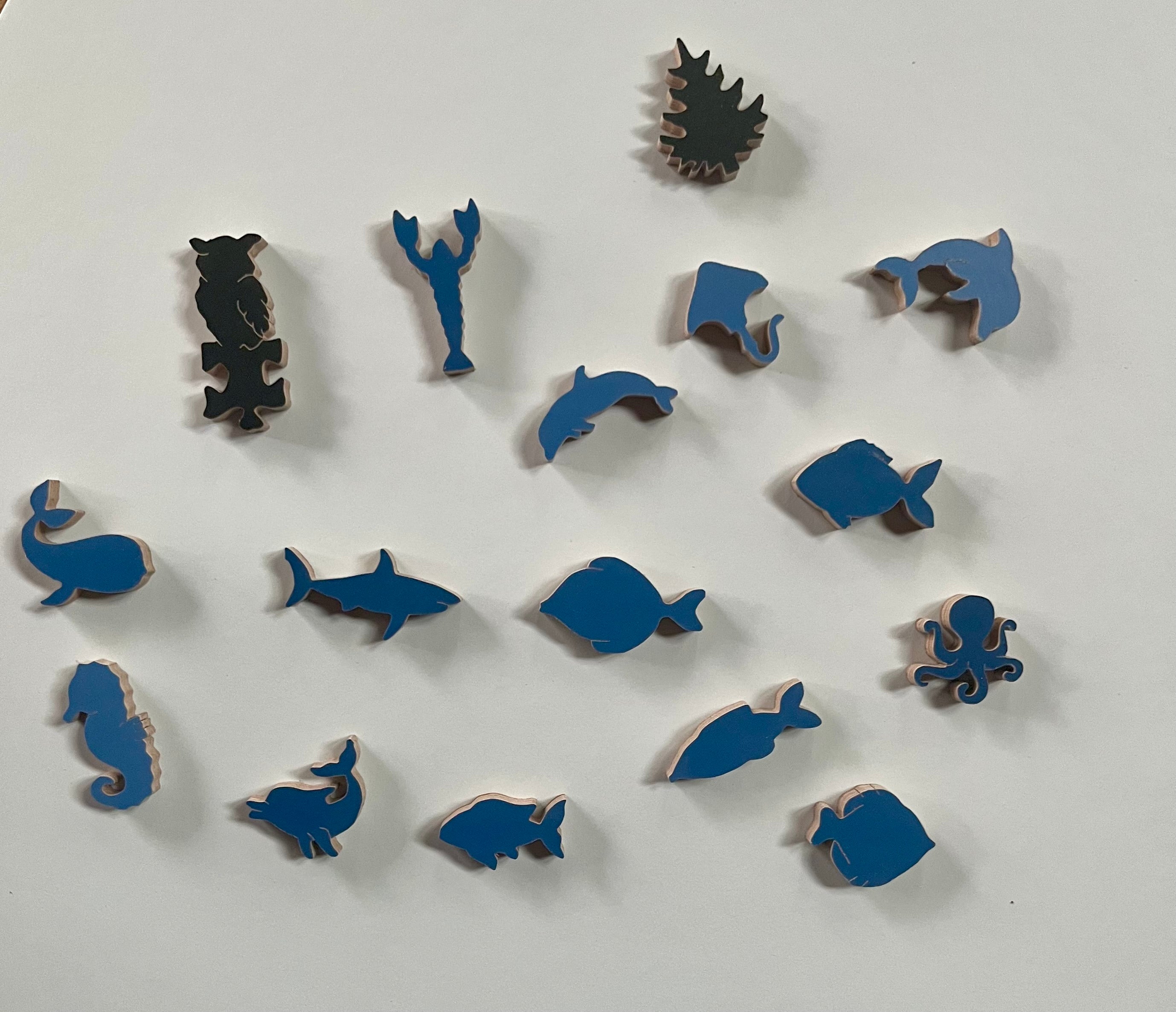 Sanibel Island Shells