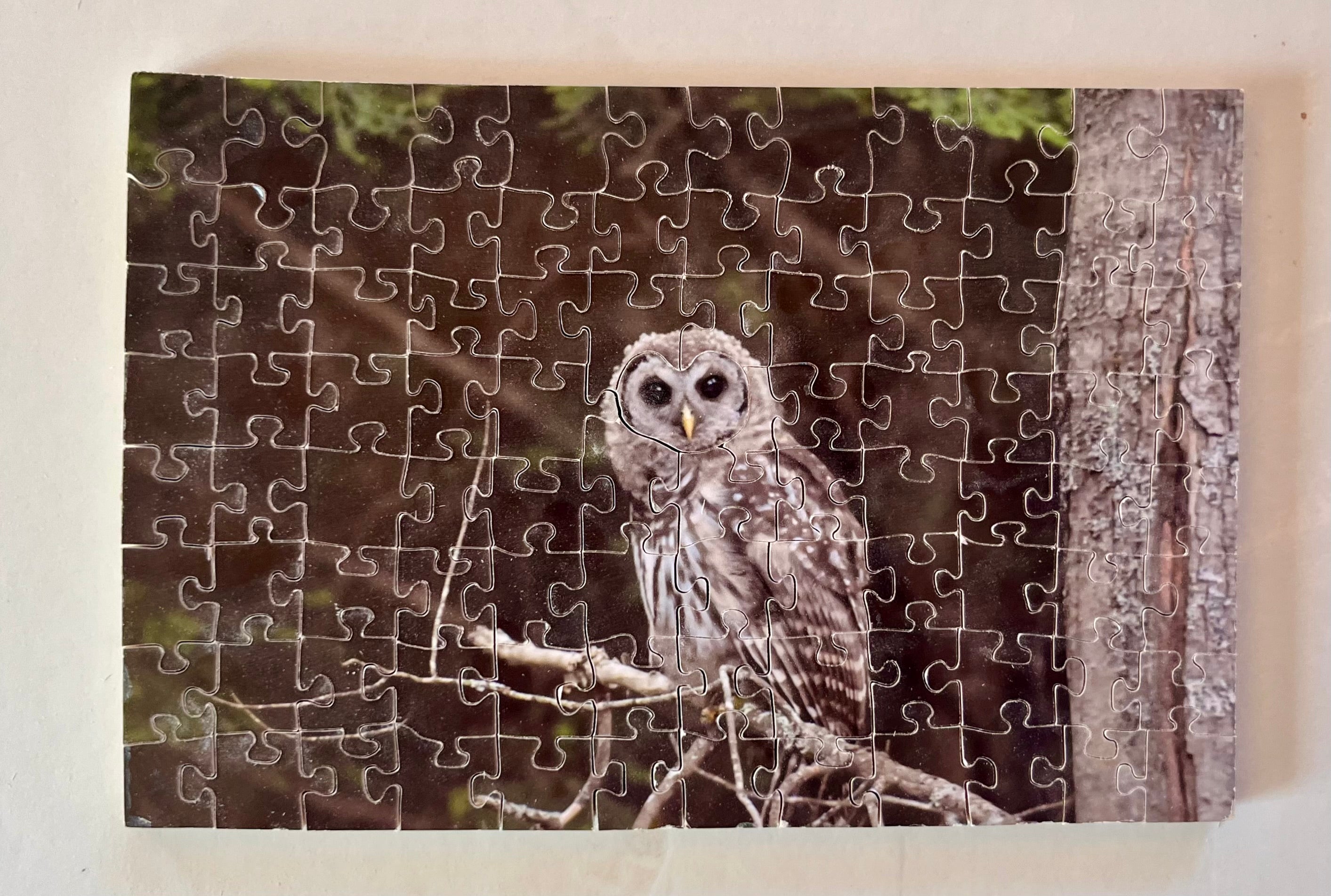 Maine Owl - original style