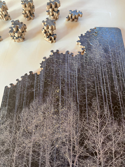 Aspens on the North Rim