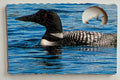 Loon Puzzle
