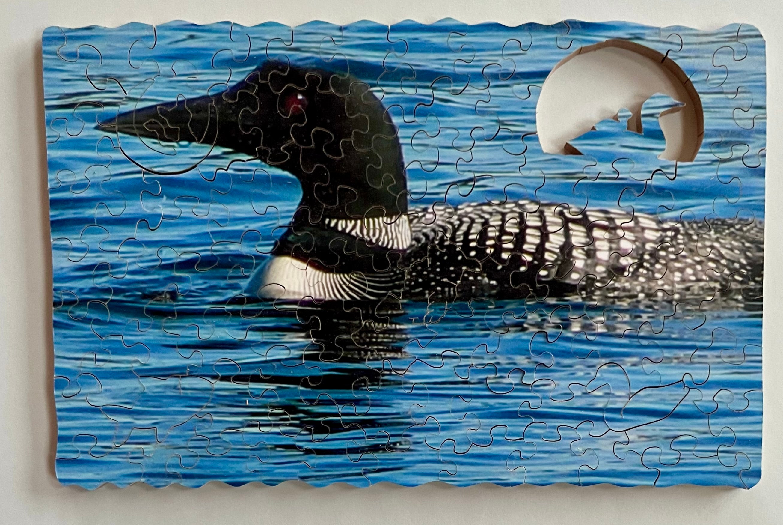 Loon Puzzle