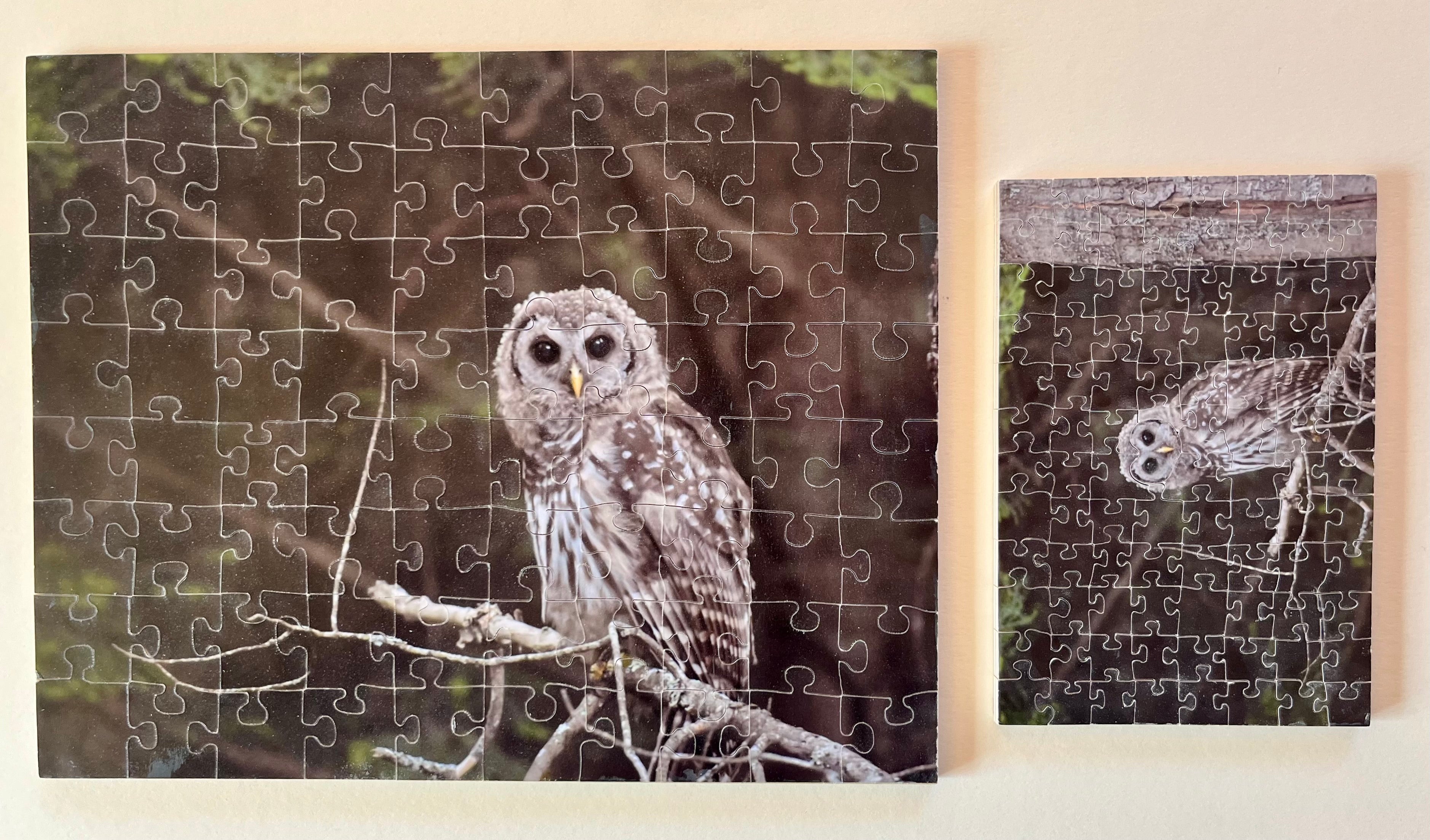 Maine Owl - original style