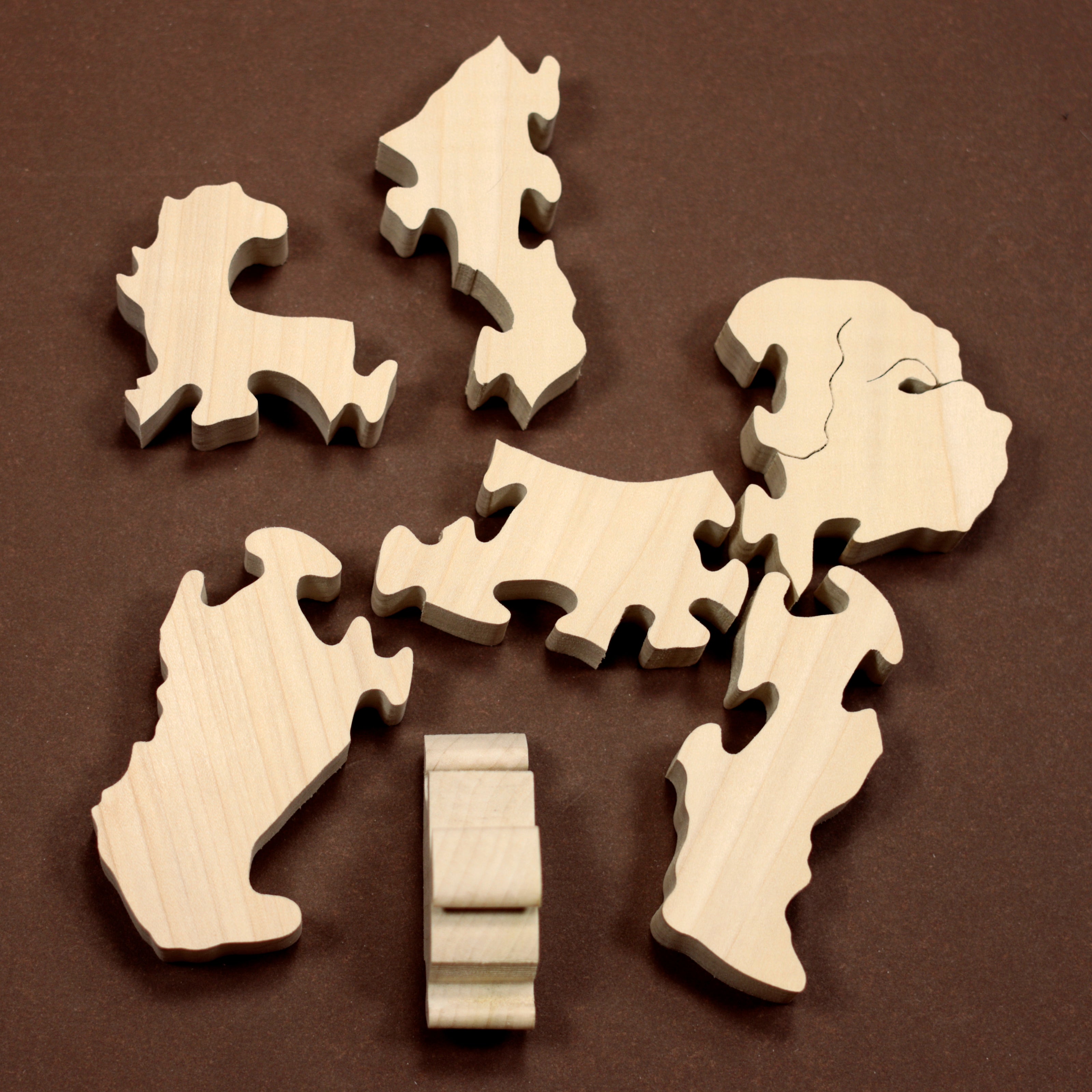 Curly Haired Dog Puzzle