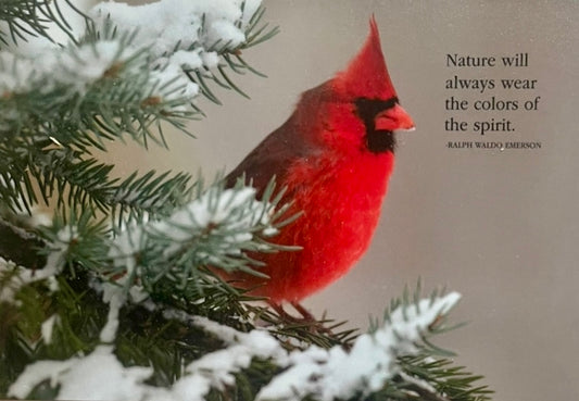 Cardinal - Greeting Card Puzzle