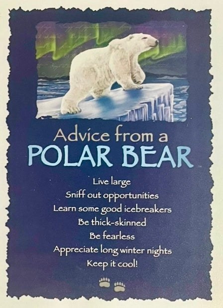 Advice from a Polar Bear - Jigsaw Puzzle