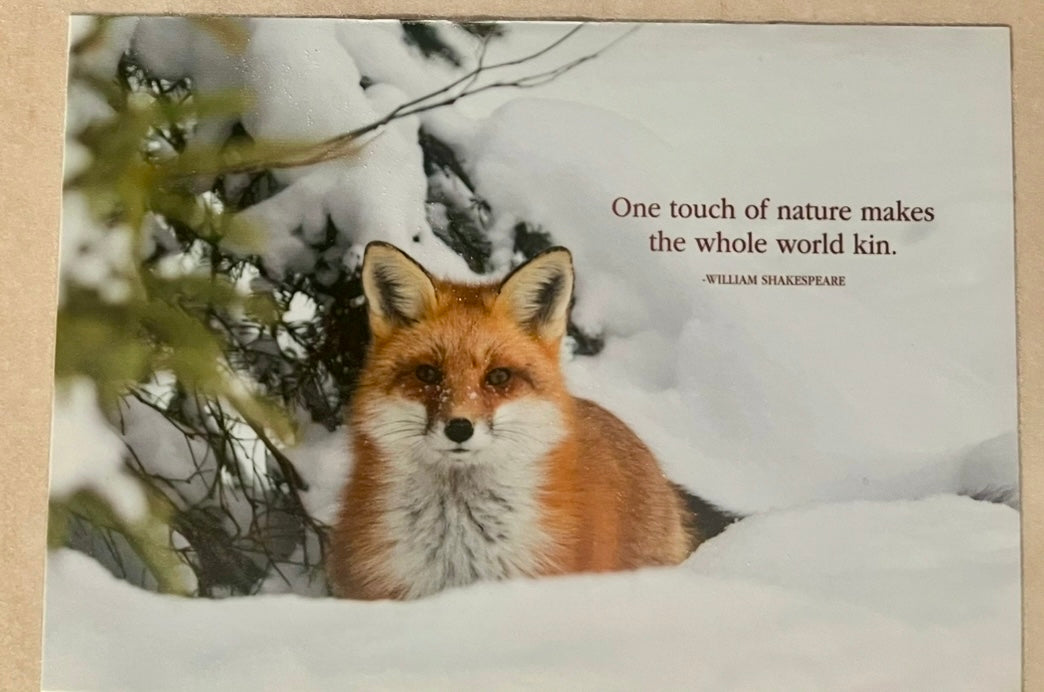 Winter Fox Greeting Card Puzzle