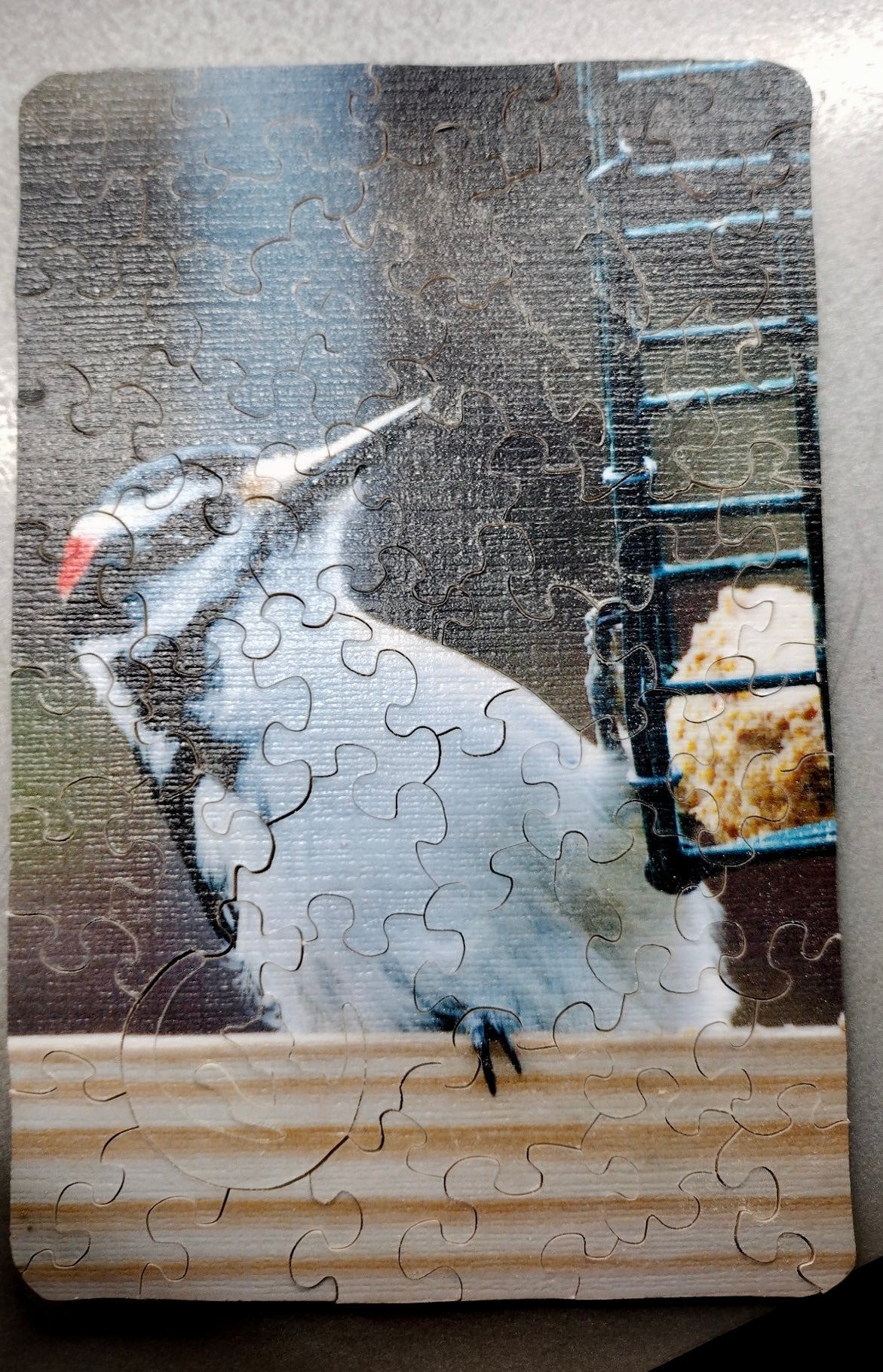 Vermont Woodpecker - Jigsaw puzzle