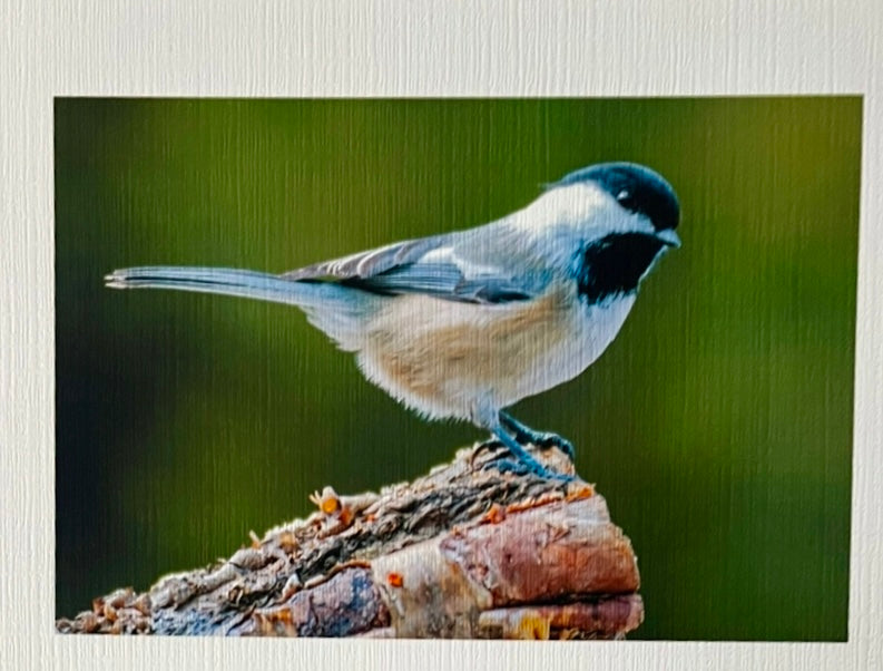 Vermont Chickadee – Hand-Cut Wooden Jigsaw