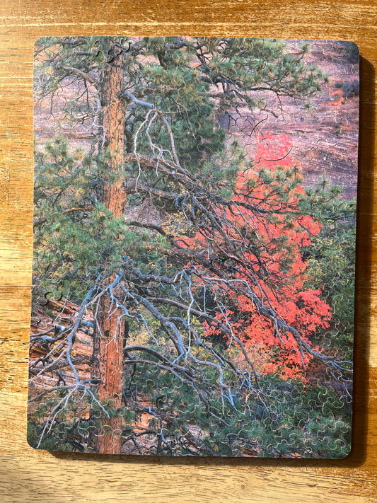 Zion National Park