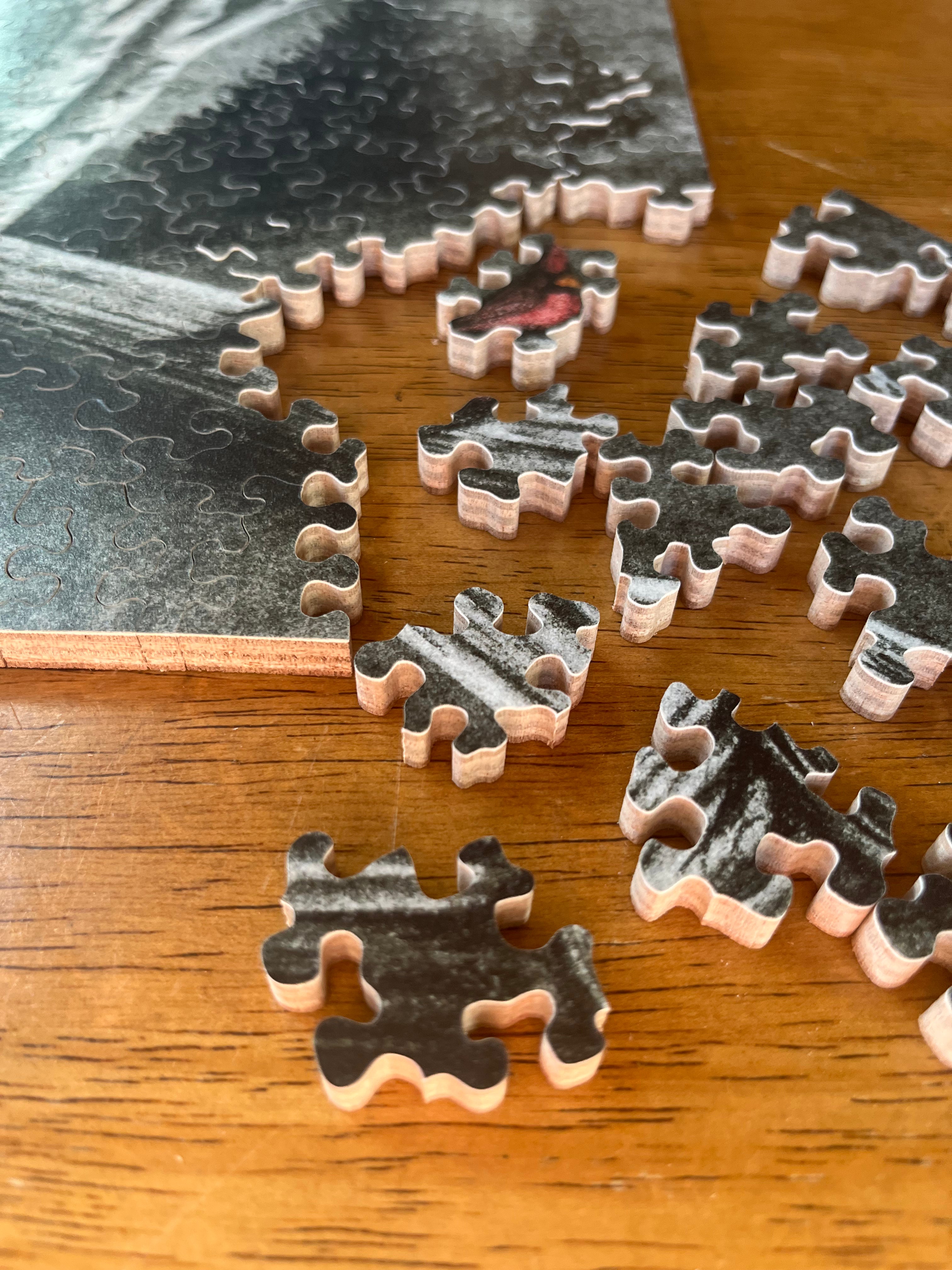 Cardinal with Birch Trees