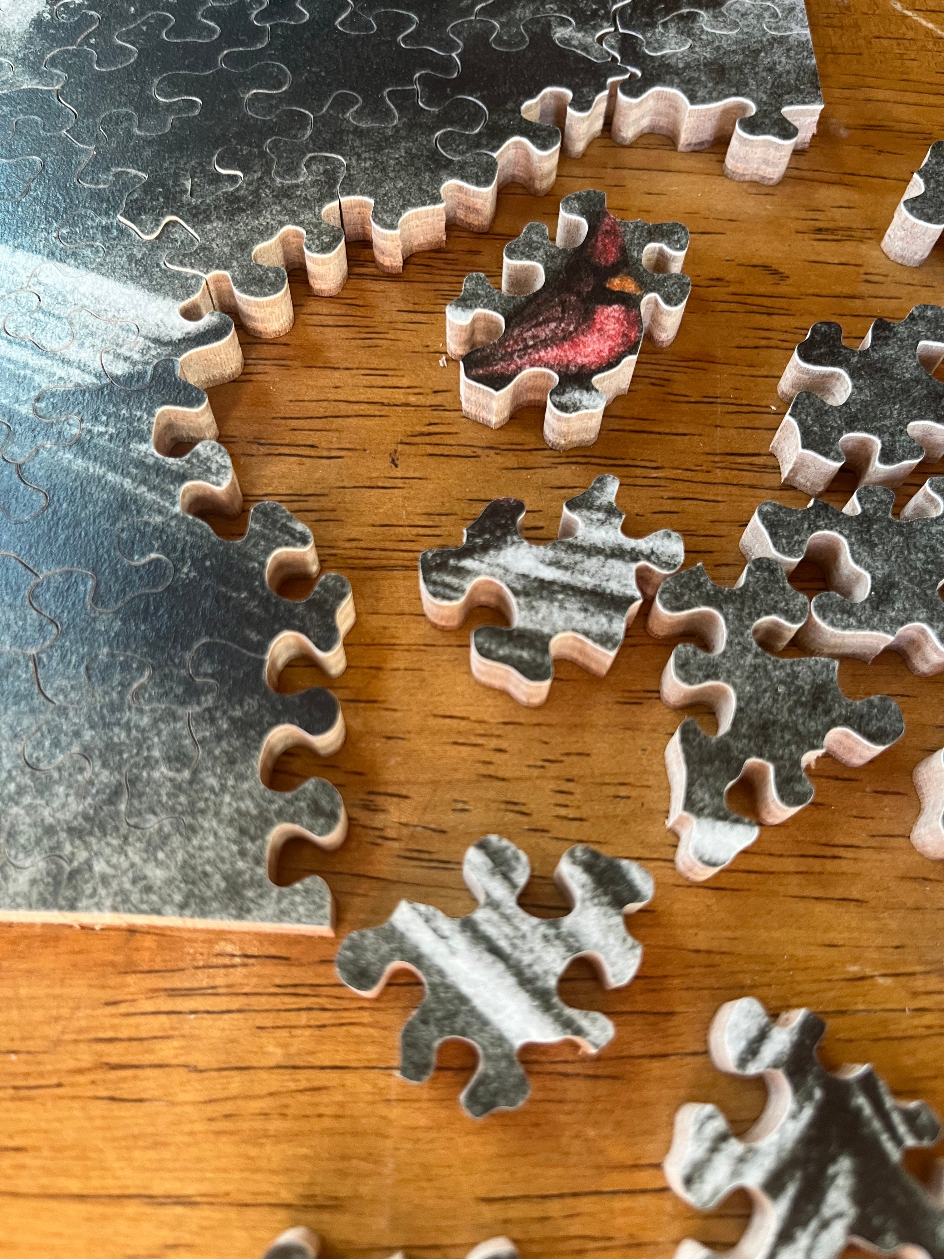 Cardinal with Birch Trees