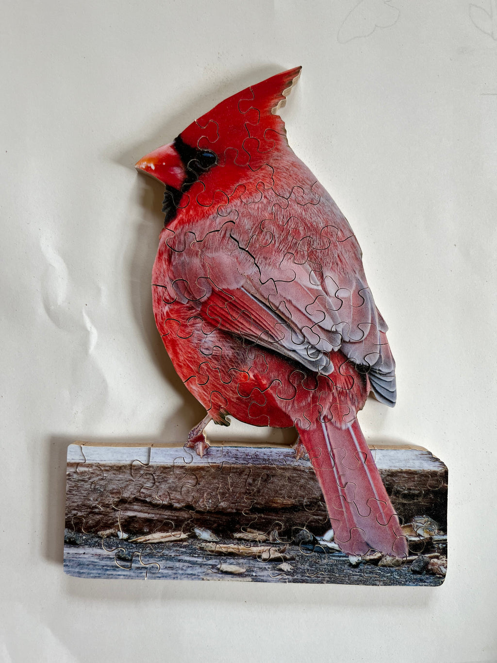 Vermont Cardinal