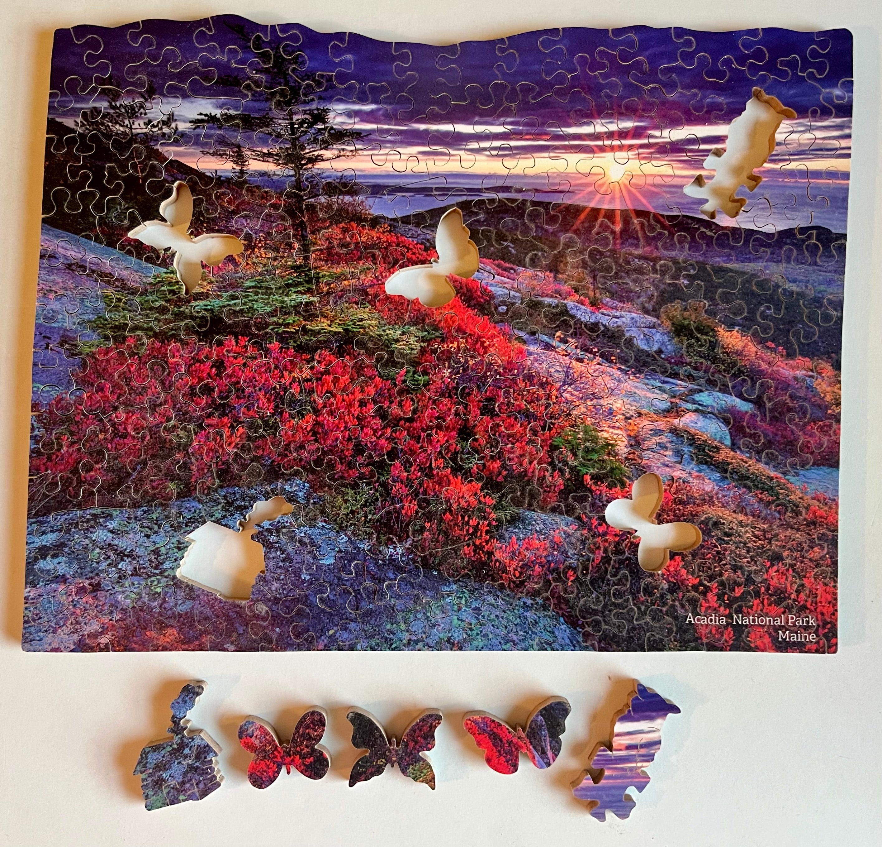 Acadia National Park - Wooden Jigsaw Puzzle