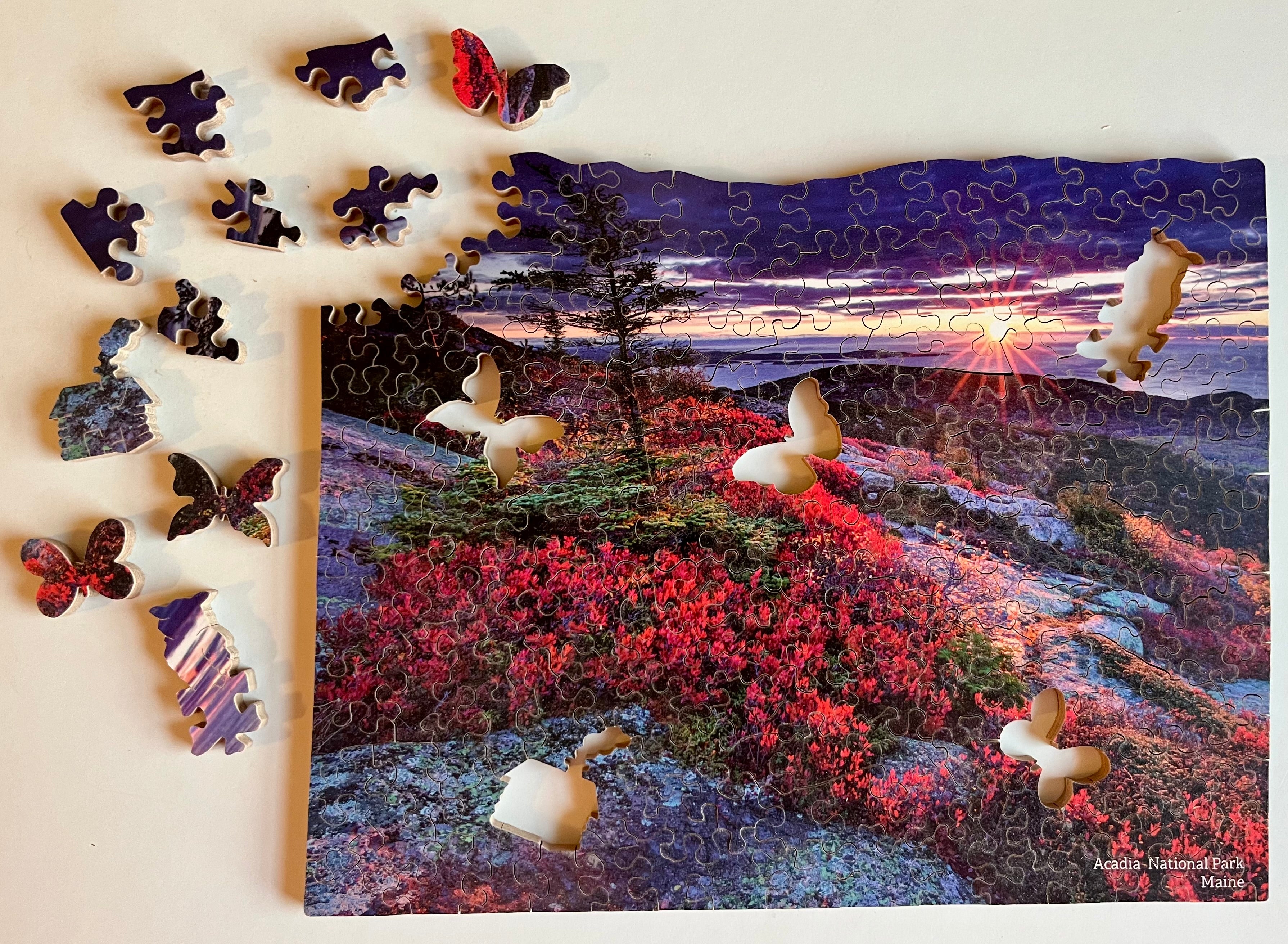 Acadia National Park - Wooden Jigsaw Puzzle