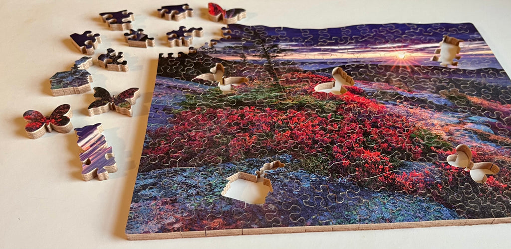 Acadia National Park - Wooden Jigsaw Puzzle