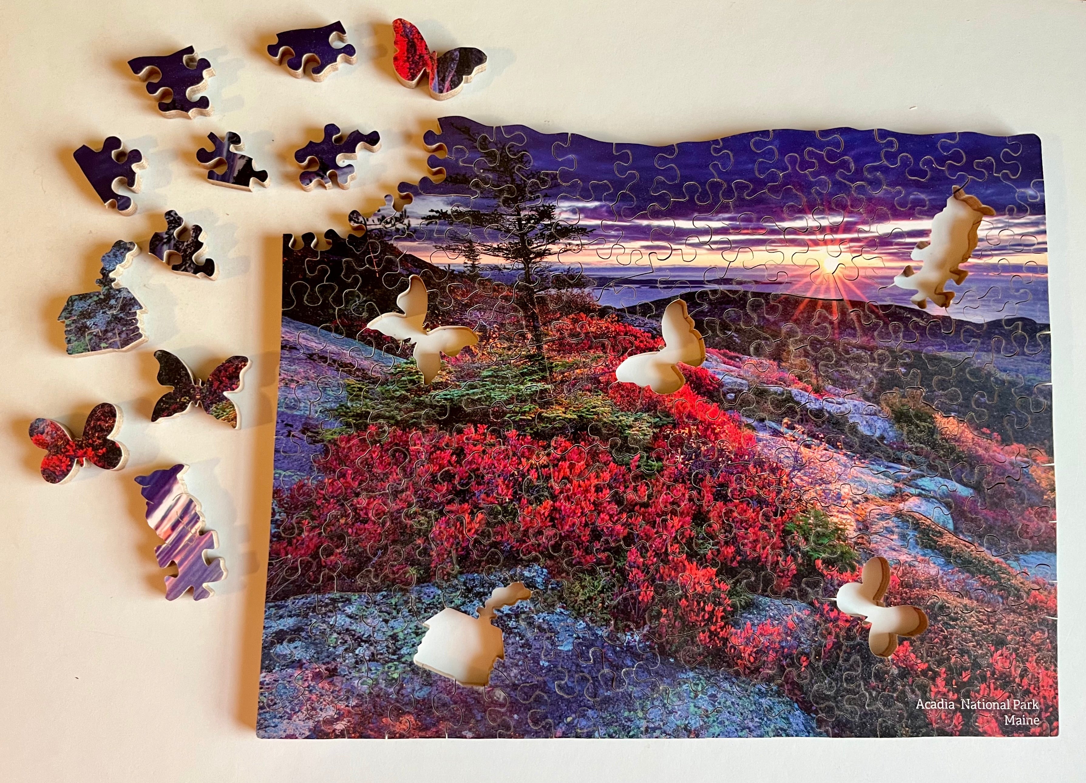 Acadia National Park - Wooden Jigsaw Puzzle