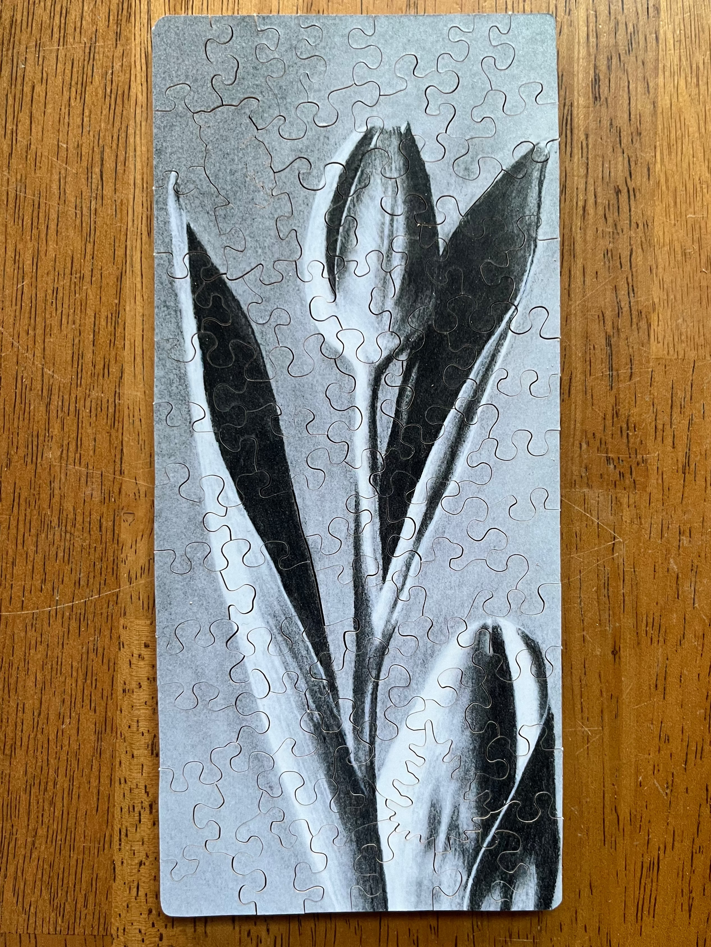 Charcoal Tulip Puzzle