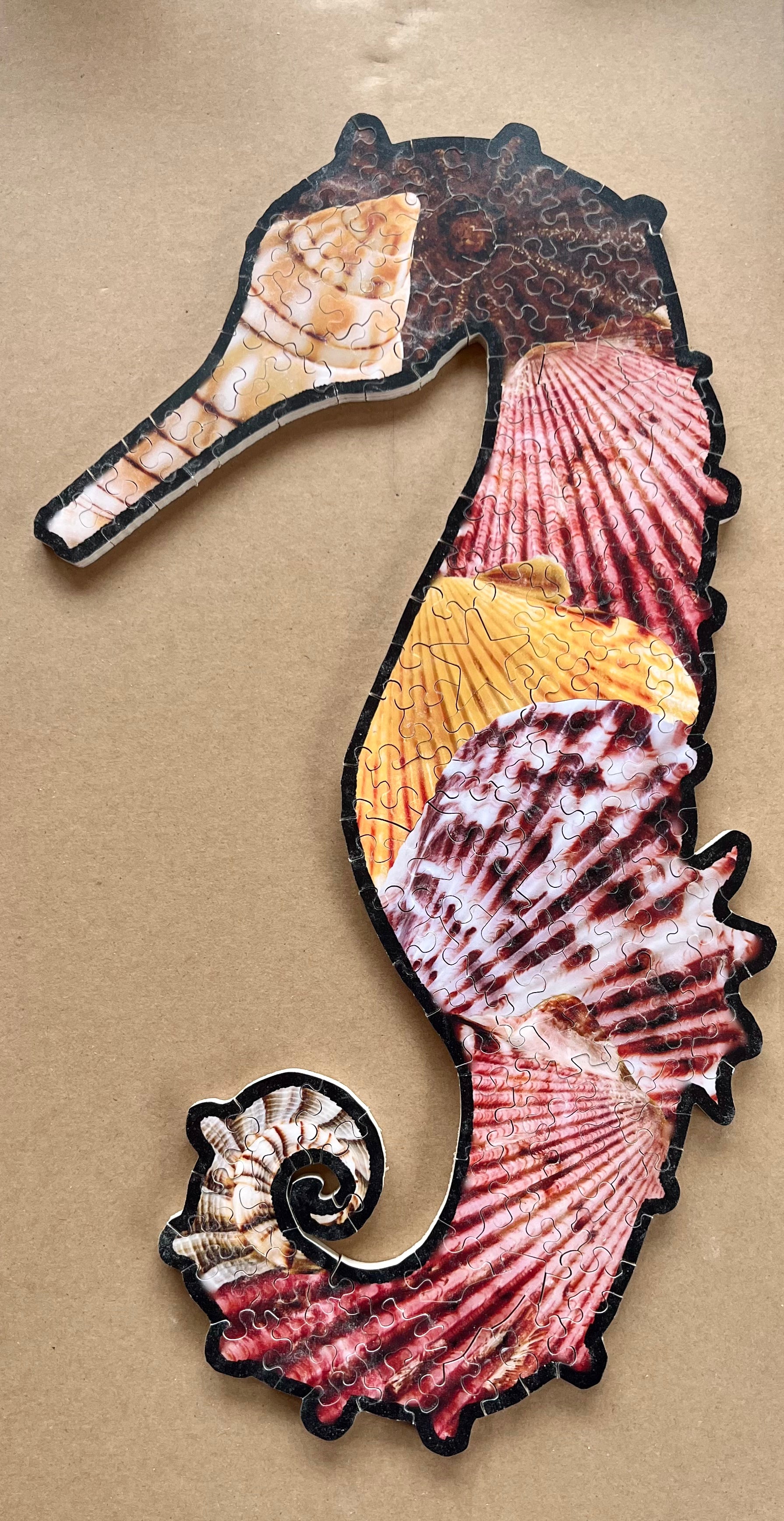 Decorative seahorse made from seashells on a beige background