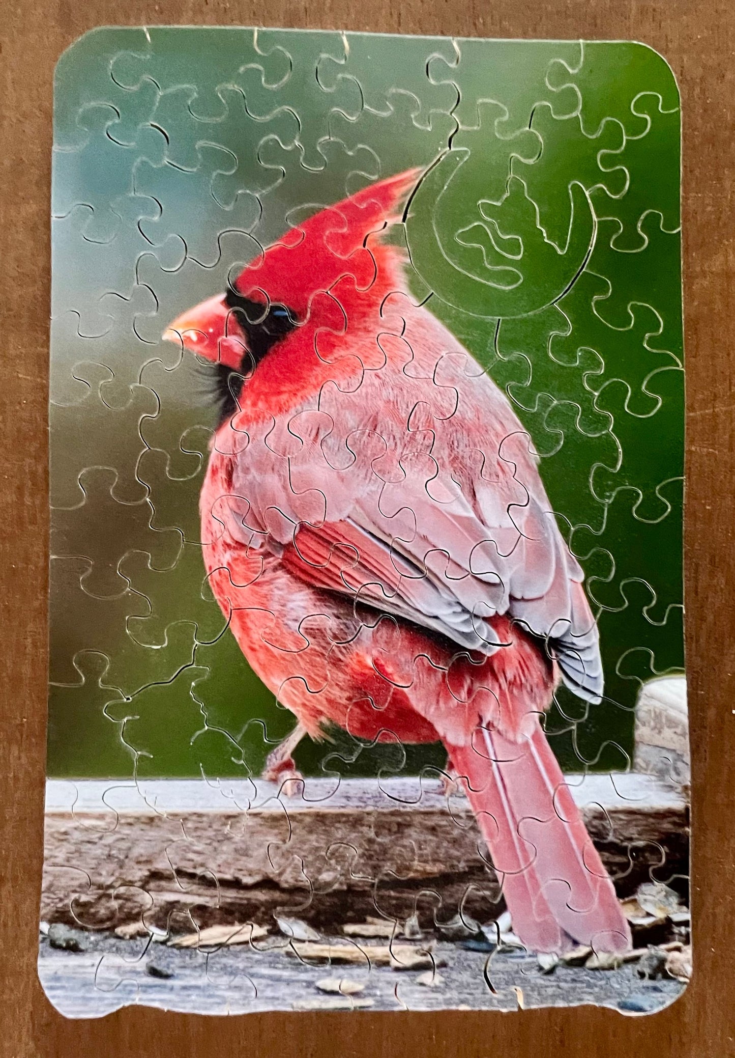 Vermont Cardinal