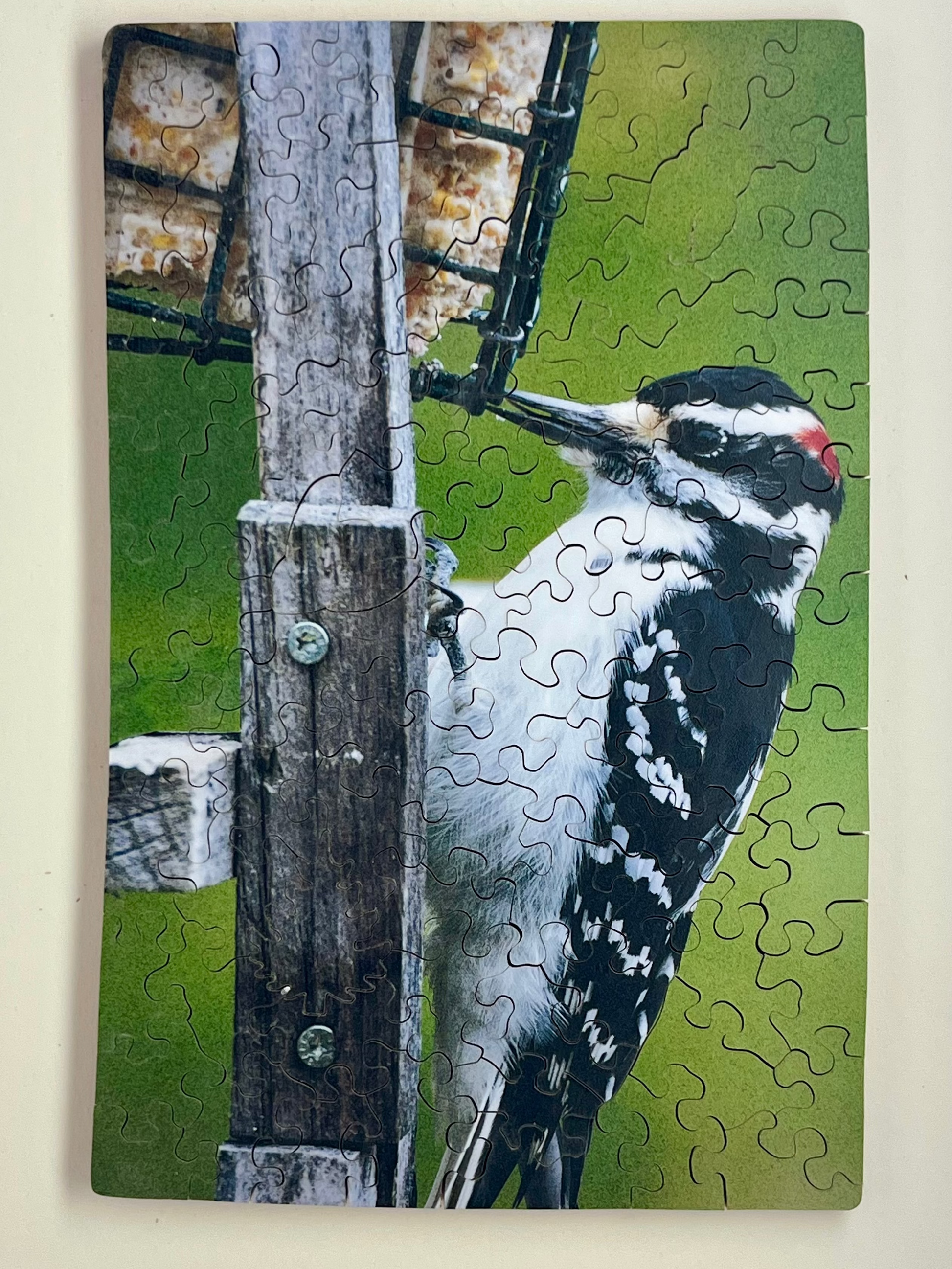 A jigsaw puzzle depicting a woodpecker perched on a wooden post with a green background. The puzzle pieces are arranged around the image, and the image shows a handcrafted, scroll saw-cut finish.